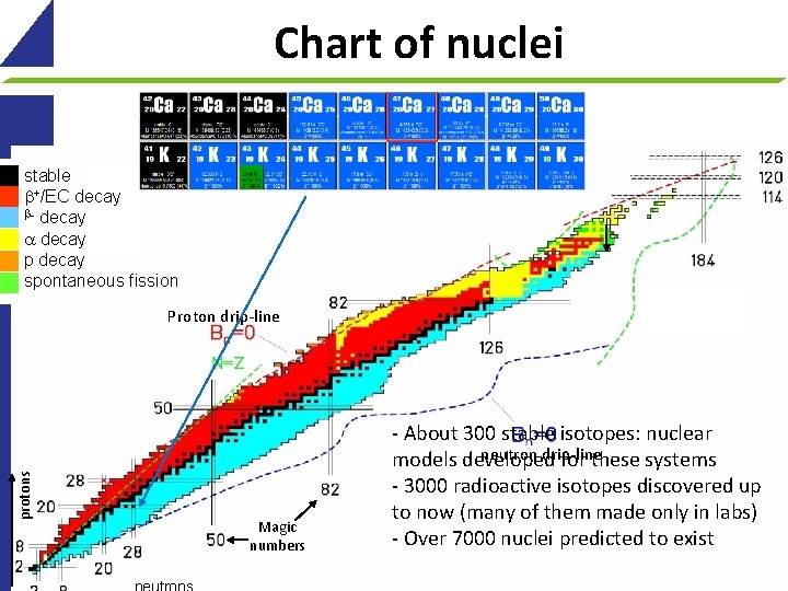 Chart of nuclei stable +/EC decay - decay p decay spontaneous fission protons Proton