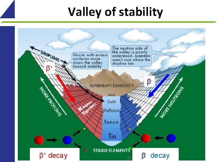 Valley of stability β+ β- β+ decay 12 β- decay 