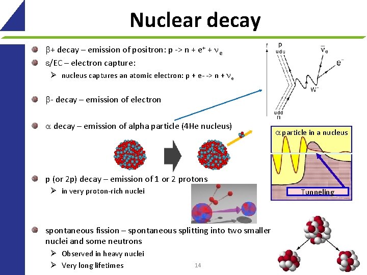 Nuclear decay + decay – emission of positron: p -> n + e+ +