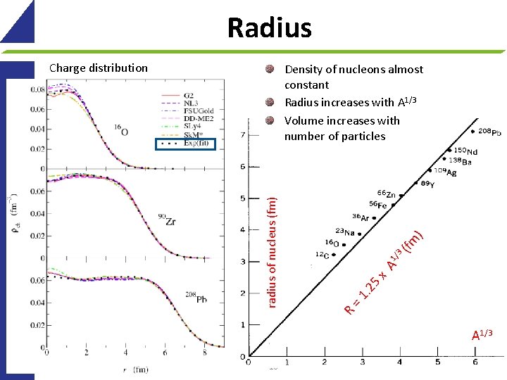 Radius Charge distribution ) (fm 3 A 1/ 5 x. 2 =1 R radius
