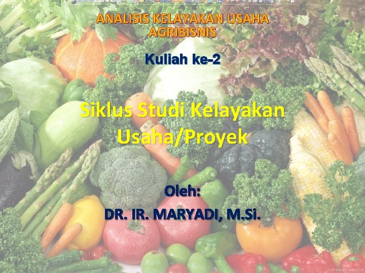 ANALISIS KELAYAKAN USAHA AGRIBISNIS Kuliah ke-2 Siklus Studi Kelayakan Usaha/Proyek Oleh: DR. IR. MARYADI,