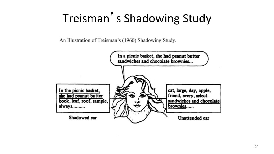 Treisman’s Shadowing Study 20 