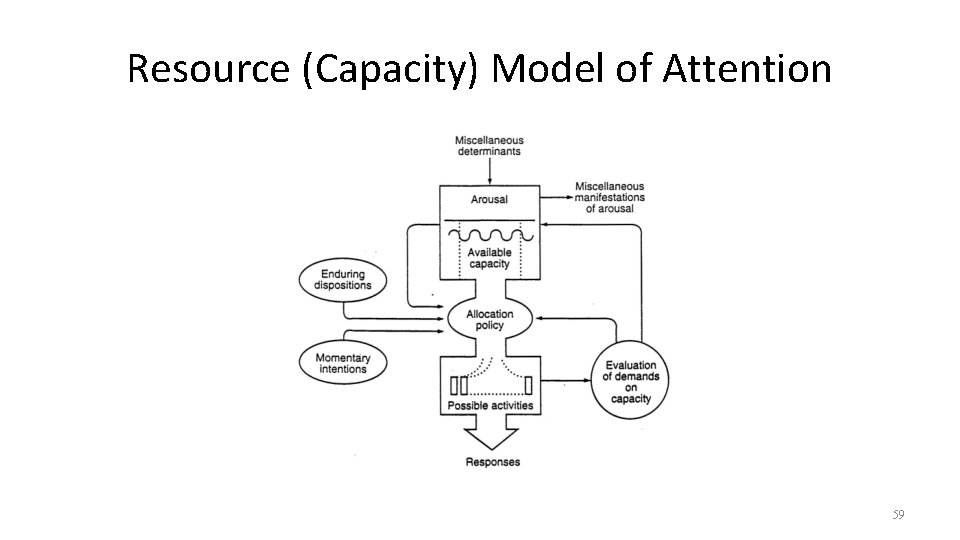 Resource (Capacity) Model of Attention 59 