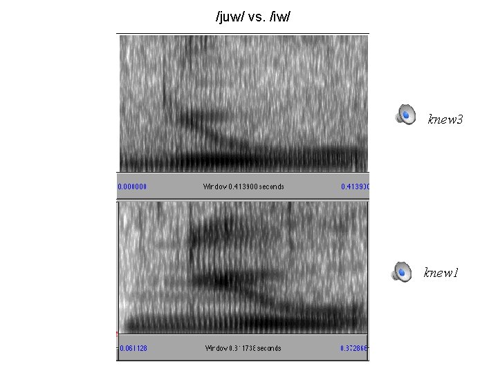 /juw/ vs. /iw/ knew 3 knew 1 
