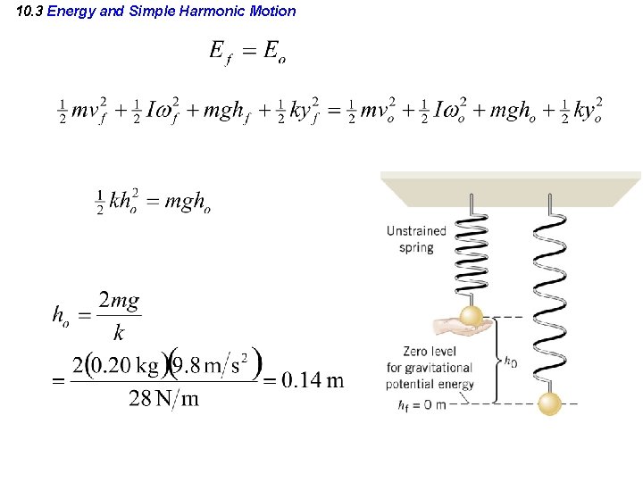 10. 3 Energy and Simple Harmonic Motion 