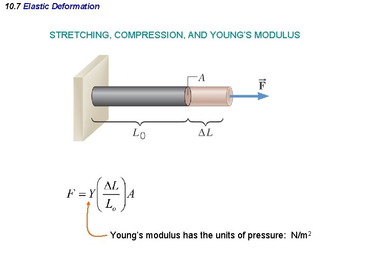 10. 7 Elastic Deformation STRETCHING, COMPRESSION, AND YOUNG’S MODULUS Young’s modulus has the units