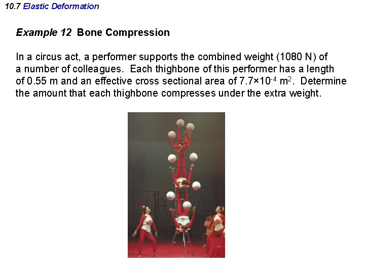 10. 7 Elastic Deformation Example 12 Bone Compression In a circus act, a performer