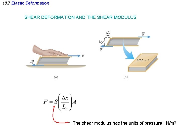 10. 7 Elastic Deformation SHEAR DEFORMATION AND THE SHEAR MODULUS The shear modulus has