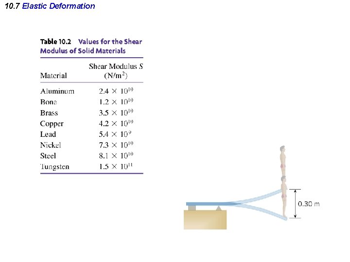 10. 7 Elastic Deformation 