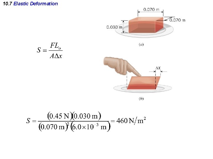 10. 7 Elastic Deformation 