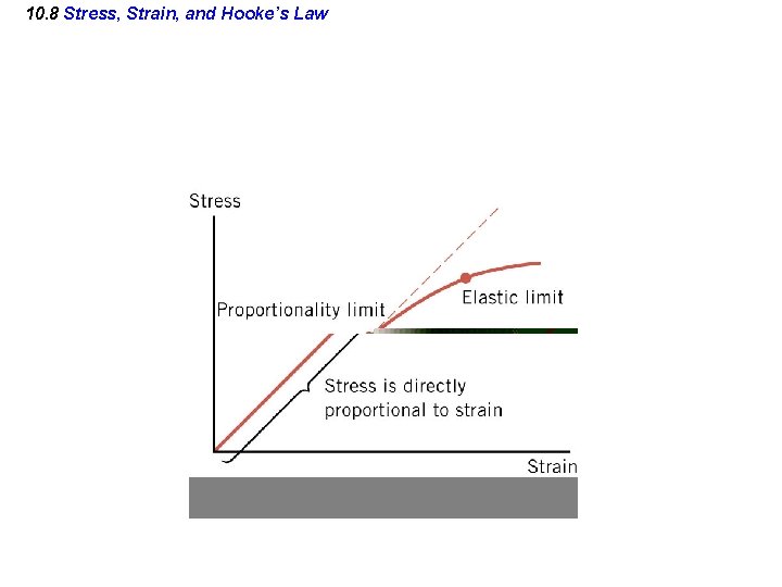 10. 8 Stress, Strain, and Hooke’s Law 