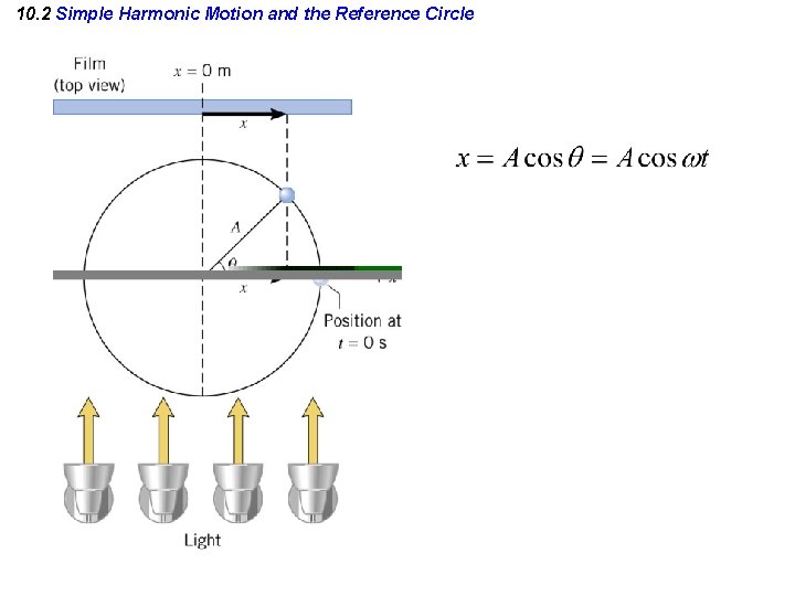 10. 2 Simple Harmonic Motion and the Reference Circle 