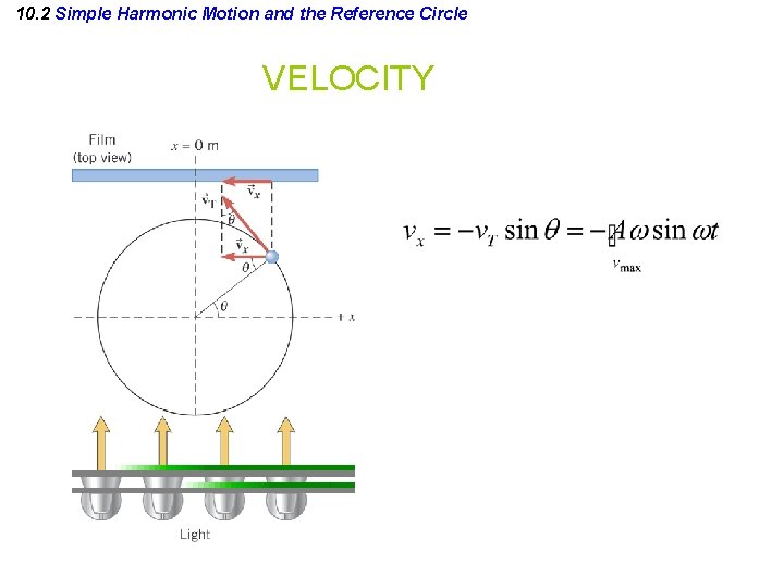 10. 2 Simple Harmonic Motion and the Reference Circle VELOCITY 
