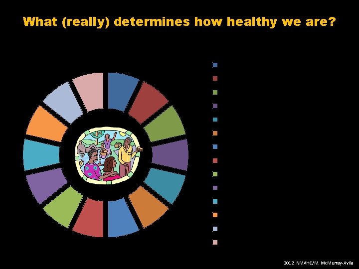 What (really) determines how healthy we are? Social, Economic & Environmental Determinants of Health