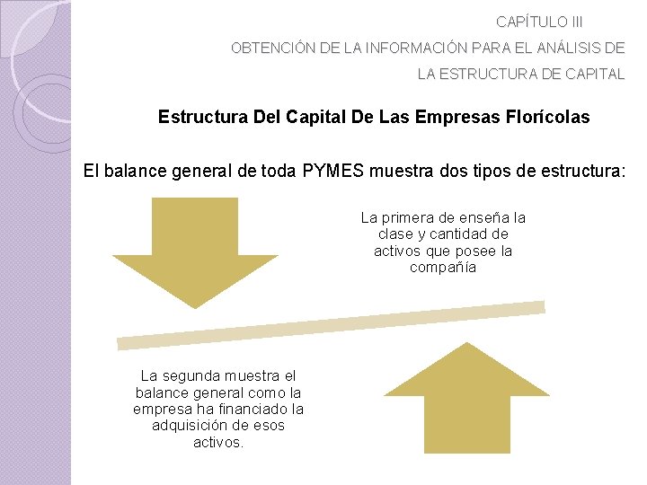 CAPÍTULO III OBTENCIÓN DE LA INFORMACIÓN PARA EL ANÁLISIS DE LA ESTRUCTURA DE CAPITAL