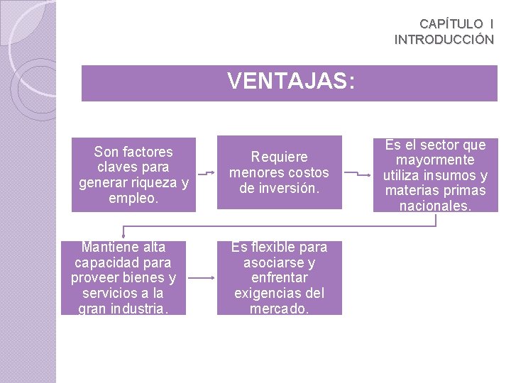 CAPÍTULO I INTRODUCCIÓN VENTAJAS: Son factores claves para generar riqueza y empleo. Mantiene alta