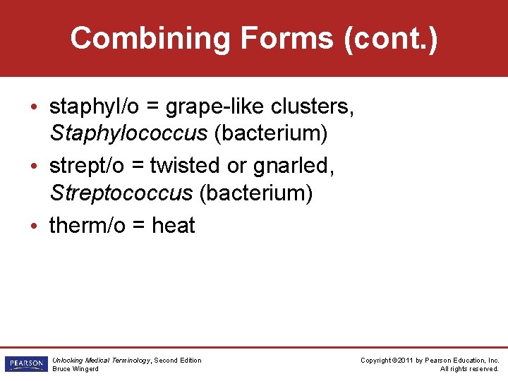 Combining Forms (cont. ) • staphyl/o = grape-like clusters, Staphylococcus (bacterium) • strept/o =