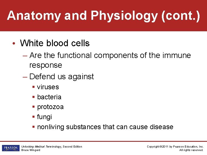 Anatomy and Physiology (cont. ) • White blood cells – Are the functional components