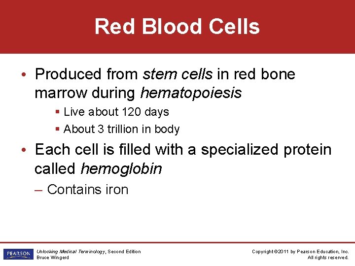 Red Blood Cells • Produced from stem cells in red bone marrow during hematopoiesis