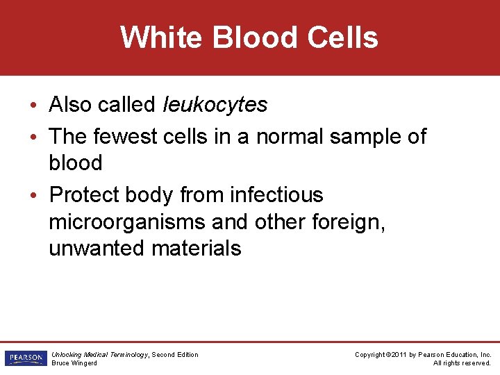 White Blood Cells • Also called leukocytes • The fewest cells in a normal