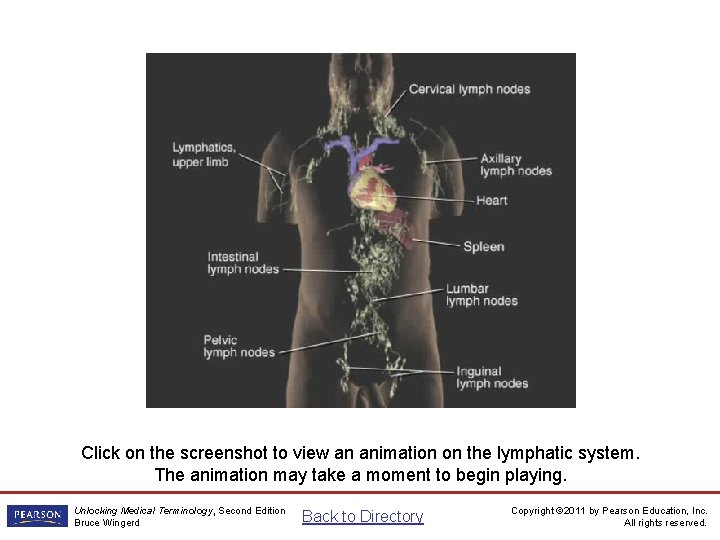 Lymphatic System Animation Click on the screenshot to view an animation on the lymphatic