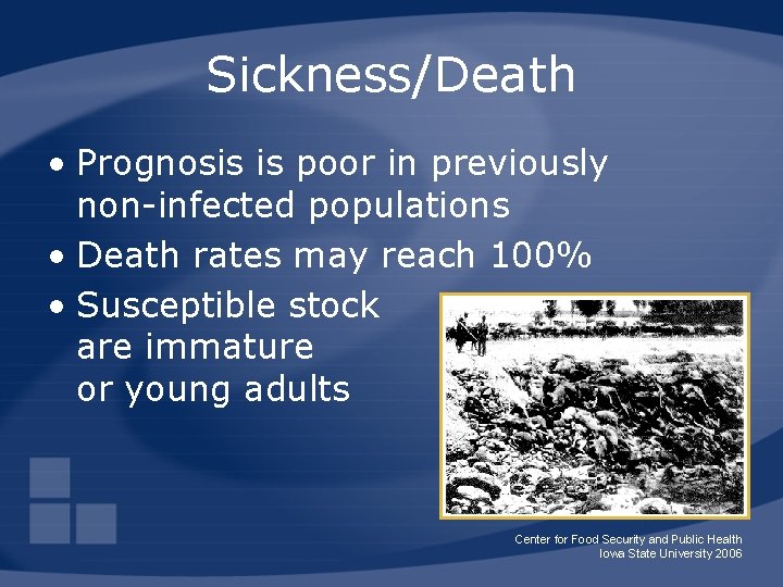 Sickness/Death • Prognosis is poor in previously non-infected populations • Death rates may reach