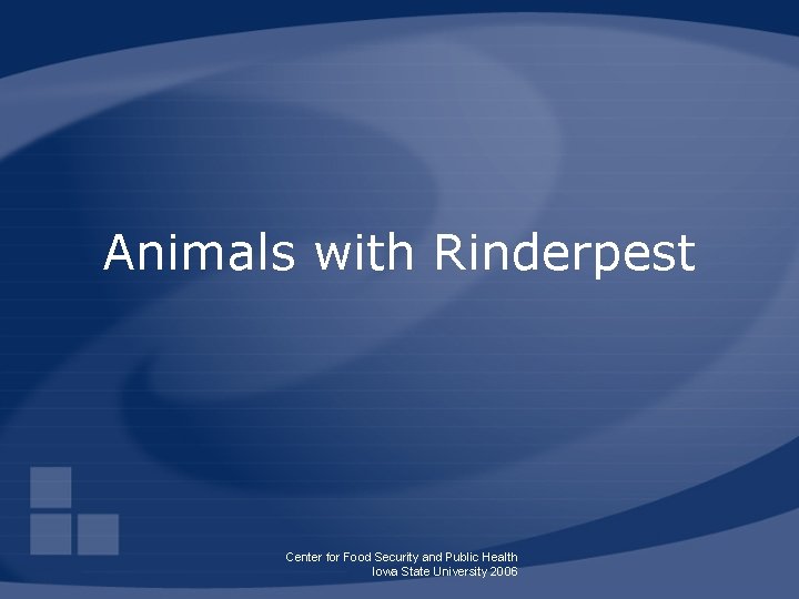Animals with Rinderpest Center for Food Security and Public Health Iowa State University 2006