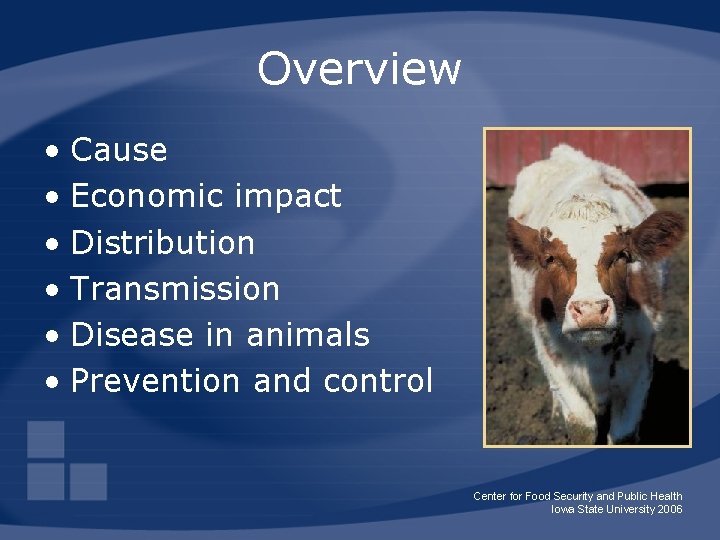 Overview • Cause • Economic impact • Distribution • Transmission • Disease in animals