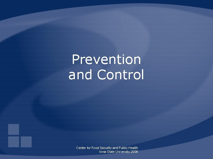 Prevention and Control Center for Food Security and Public Health Iowa State University 2006