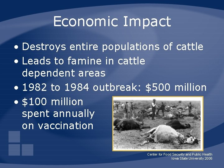 Economic Impact • Destroys entire populations of cattle • Leads to famine in cattle