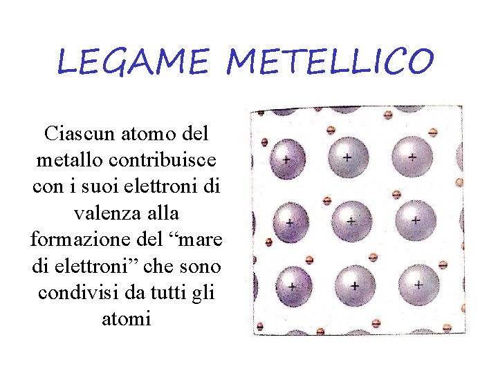 LEGAME METELLICO Ciascun atomo del metallo contribuisce con i suoi elettroni di valenza alla