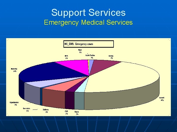 Support Services Emergency Medical Services 