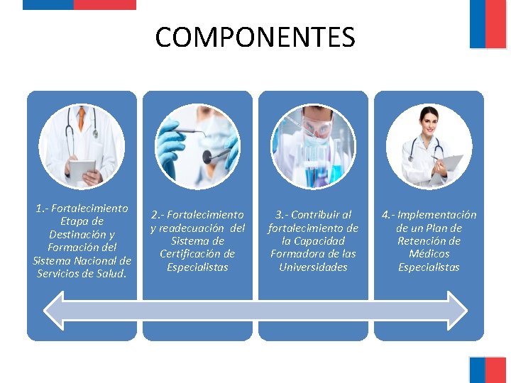 COMPONENTES 1. - Fortalecimiento Etapa de Destinación y Formación del Sistema Nacional de Servicios