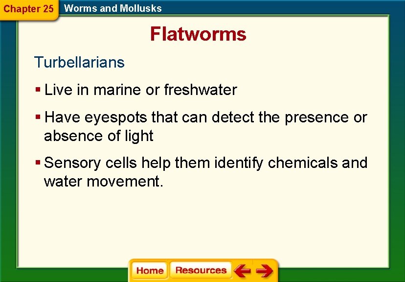 Chapter 25 Worms and Mollusks Flatworms Turbellarians § Live in marine or freshwater §