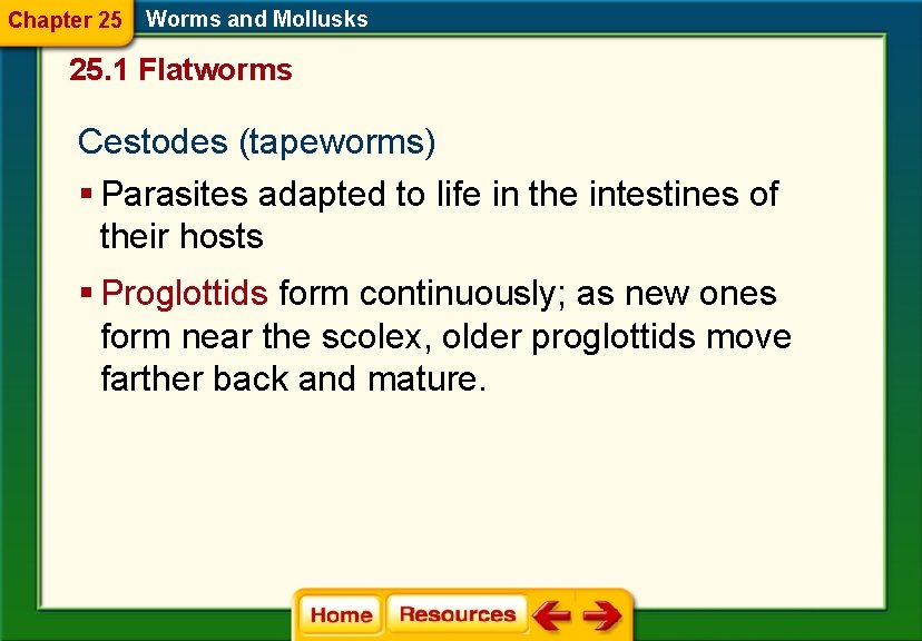 Chapter 25 Worms and Mollusks 25. 1 Flatworms Cestodes (tapeworms) § Parasites adapted to