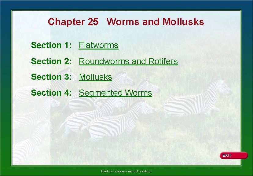 Chapter 25 Worms and Mollusks Section 1: Flatworms Section 2: Roundworms and Rotifers Section