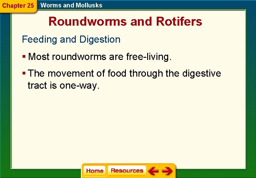 Chapter 25 Worms and Mollusks Roundworms and Rotifers Feeding and Digestion § Most roundworms