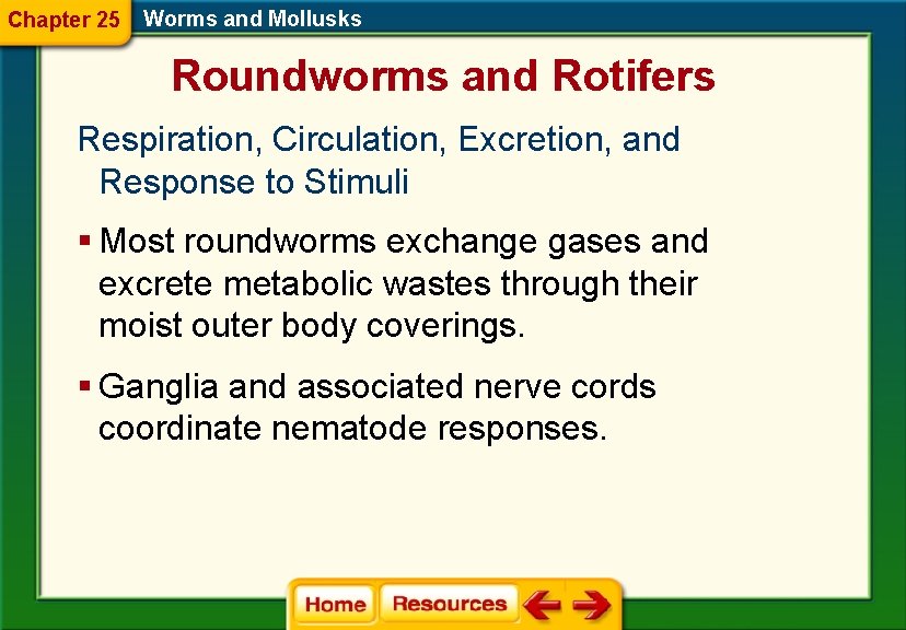 Chapter 25 Worms and Mollusks Roundworms and Rotifers Respiration, Circulation, Excretion, and Response to