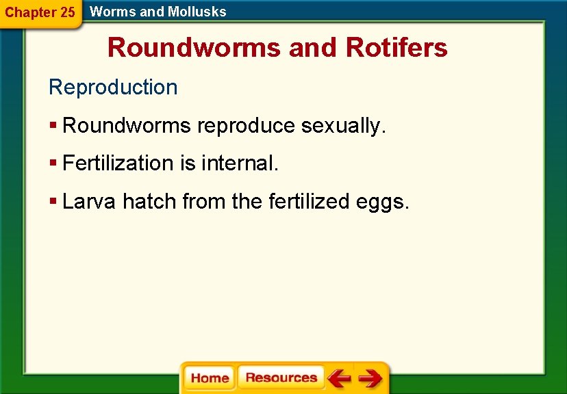 Chapter 25 Worms and Mollusks Roundworms and Rotifers Reproduction § Roundworms reproduce sexually. §