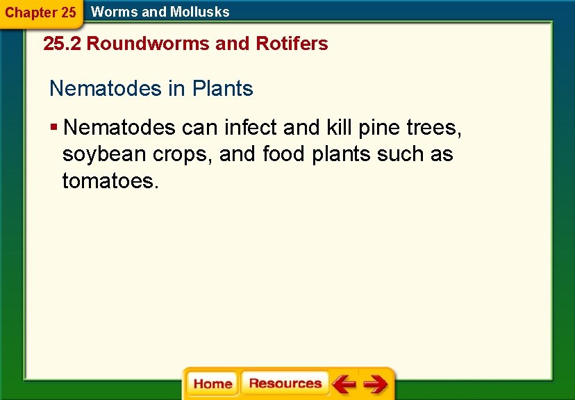 Chapter 25 Worms and Mollusks 25. 2 Roundworms and Rotifers Nematodes in Plants §