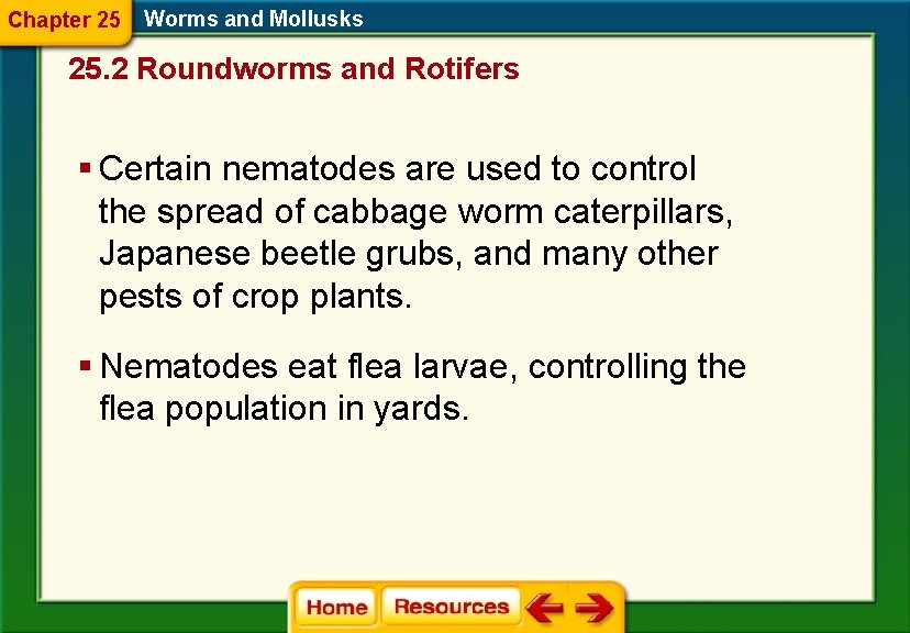 Chapter 25 Worms and Mollusks 25. 2 Roundworms and Rotifers § Certain nematodes are