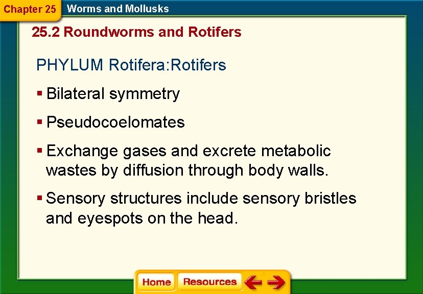 Chapter 25 Worms and Mollusks 25. 2 Roundworms and Rotifers PHYLUM Rotifera: Rotifers §