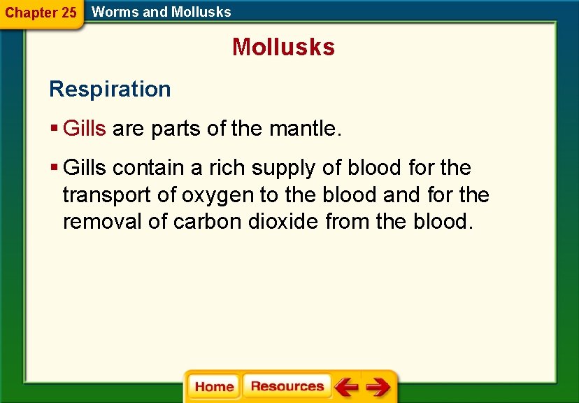 Chapter 25 Worms and Mollusks Respiration § Gills are parts of the mantle. §