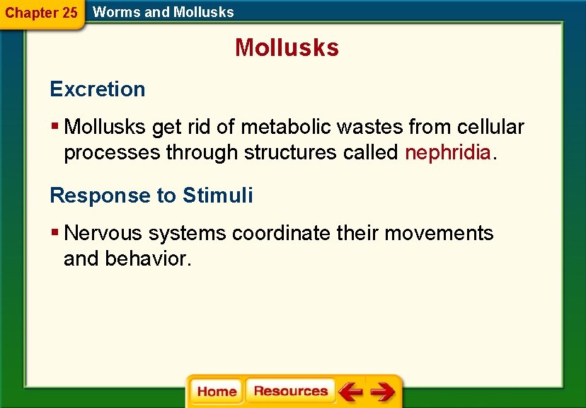 Chapter 25 Worms and Mollusks Excretion § Mollusks get rid of metabolic wastes from