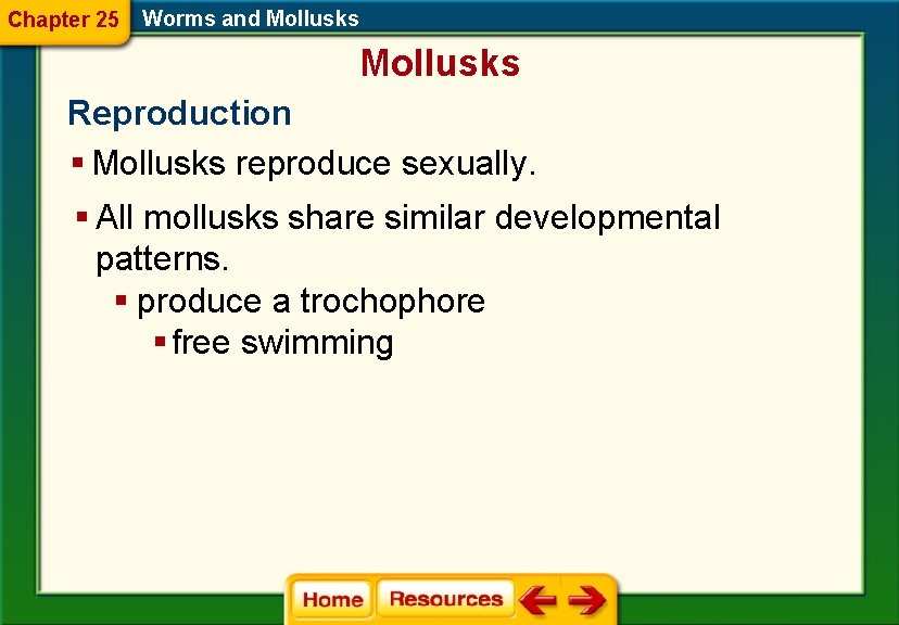 Chapter 25 Worms and Mollusks Reproduction § Mollusks reproduce sexually. § All mollusks share