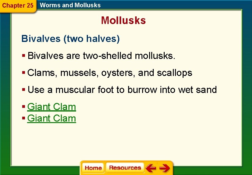 Chapter 25 Worms and Mollusks Bivalves (two halves) § Bivalves are two-shelled mollusks. §