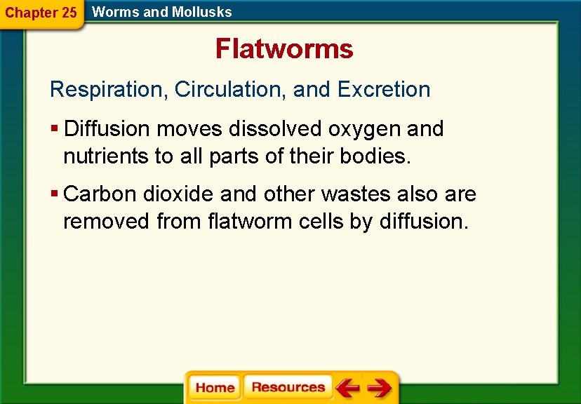 Chapter 25 Worms and Mollusks Flatworms Respiration, Circulation, and Excretion § Diffusion moves dissolved