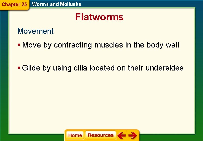 Chapter 25 Worms and Mollusks Flatworms Movement § Move by contracting muscles in the