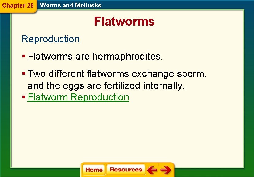 Chapter 25 Worms and Mollusks Flatworms Reproduction § Flatworms are hermaphrodites. § Two different