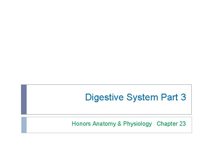 Digestive System Part 3 Honors Anatomy & Physiology Chapter 23 